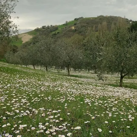 Affittacamere Casa Cairo Rooms&services Mombaroccio