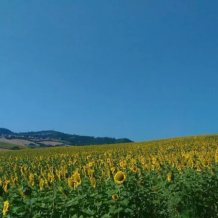 Casa Cairo Rooms&services Mombaroccio