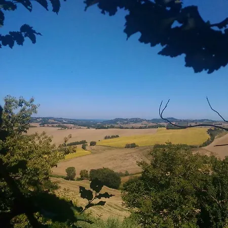 Gasthof Casa Cairo Rooms&services