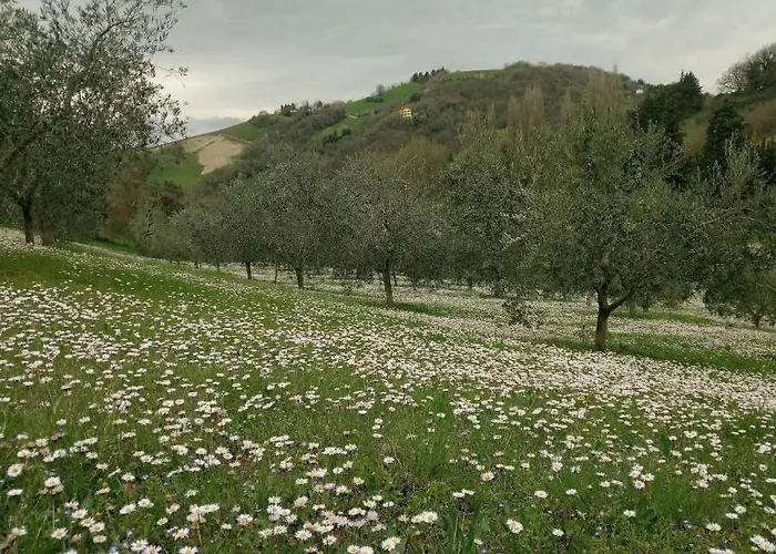 Guest house Casa Cairo Rooms&services Mombaroccio