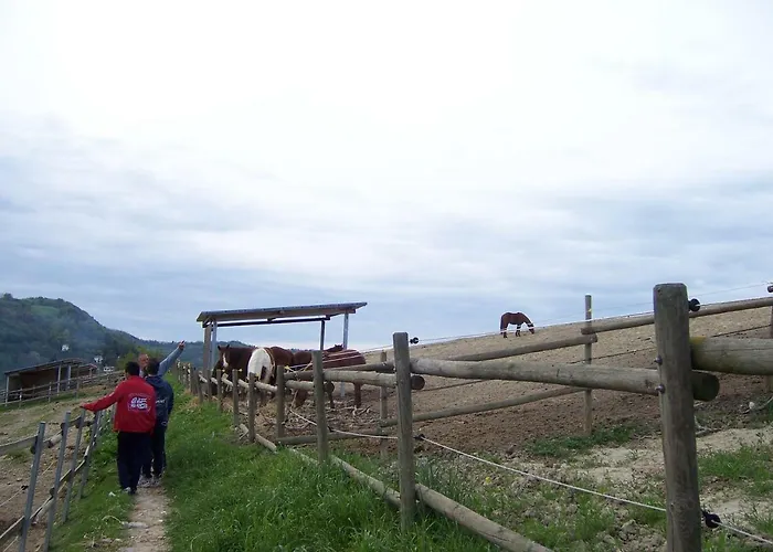 Casa Cairo Rooms&services Guest house 3*