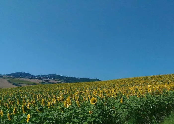 Casa Cairo Rooms&services Mombaroccio